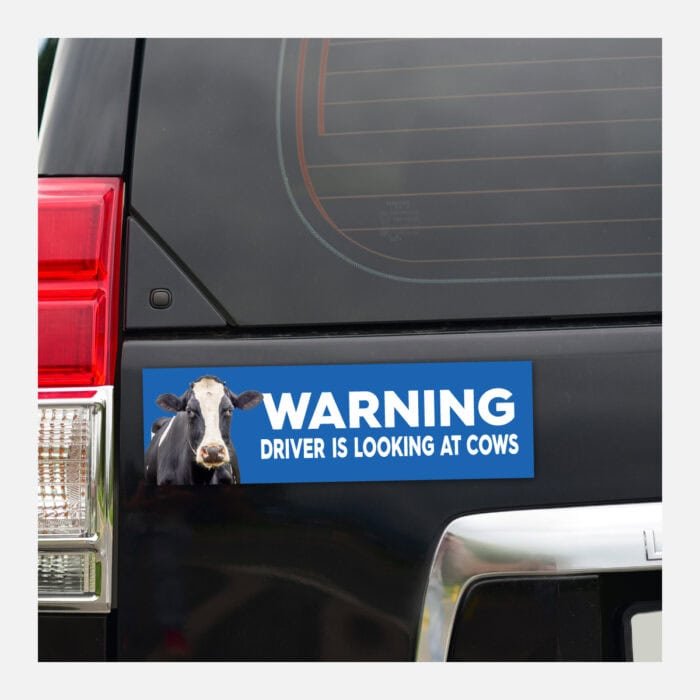 Rectangle Gloss White Vinyl Bumper Stickers - Image 6