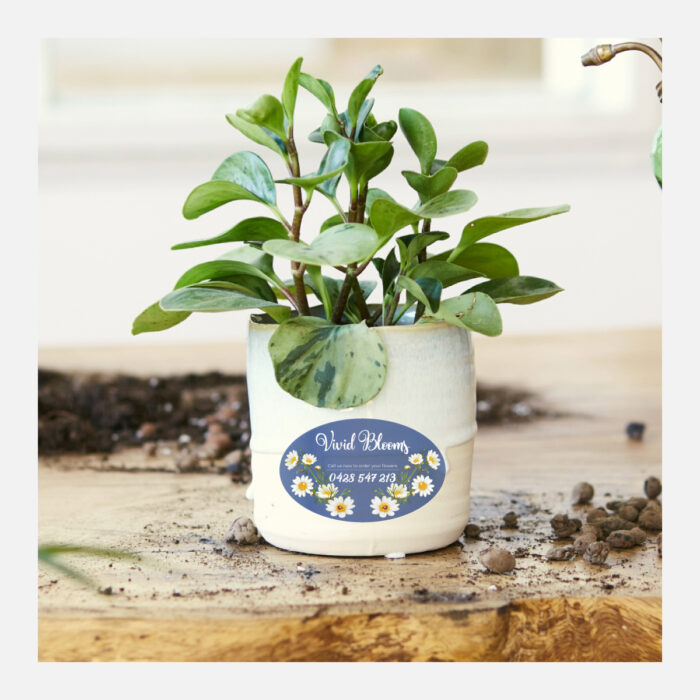 Oval Labels on Gloss White Paper - Image 3