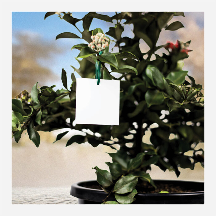 Hang Tags 70x74mm (12 Per Sheet) - Image 3