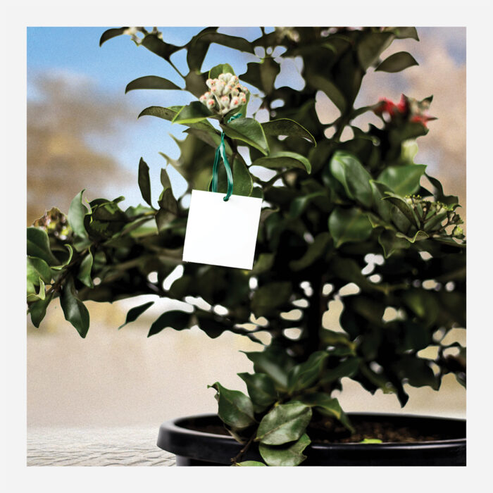 Hang Tags 52x50mm (24 Per Sheet) - Image 3