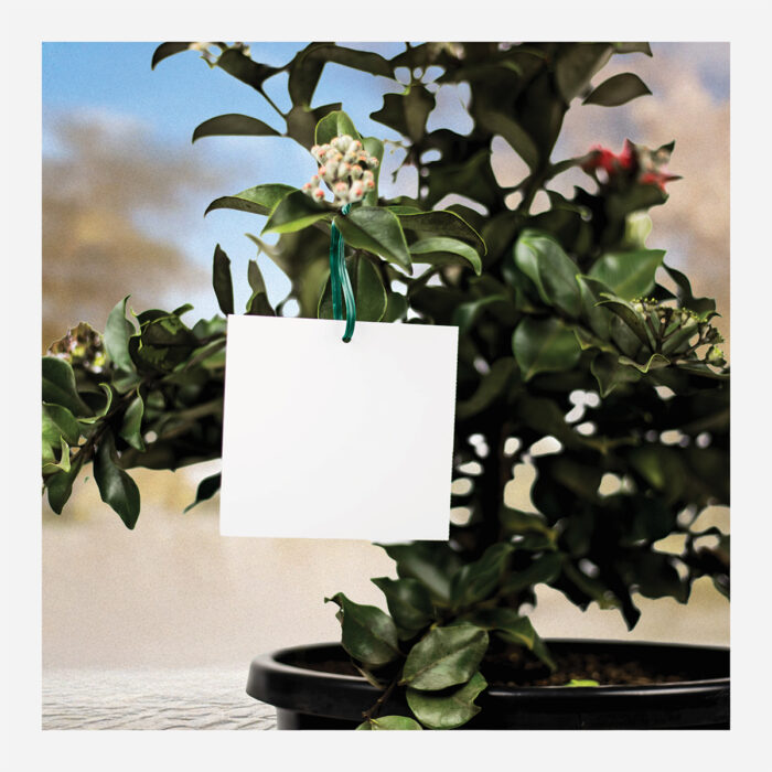 Hang Tags 105x99mm (6 Per Sheet) - Image 3