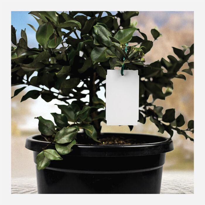 White Synthetic Hang Tags 100x60mm - Image 4